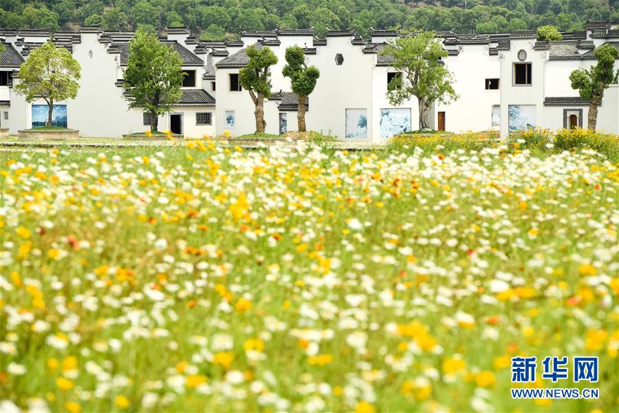 （新華全媒頭條&middot;搶救古民居&middot;圖文互動）（2）當(dāng)古民居遇上城鎮(zhèn)化，如何留住鄉(xiāng)愁？