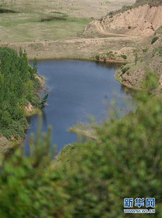 （壯闊東方潮 奮進(jìn)新時(shí)代&mdash;&mdash;慶祝改革開放40年）（6）退耕還林20年 延安大地譜新篇