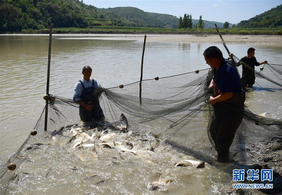 （壯闊東方潮 奮進新時代&mdash;&mdash;慶祝改革開放40年）（15）退耕還林20年 延安大地譜新篇