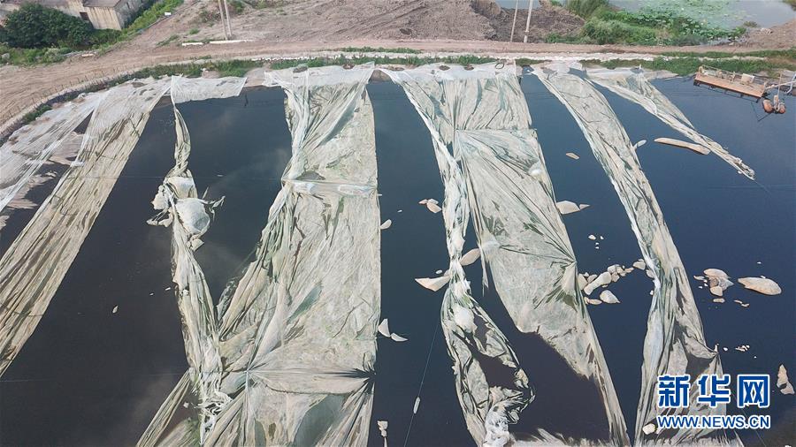 （新華視點(diǎn)&middot;圖文互動(dòng)）（4）中央督察兩年有的絲毫未改，有的不減反增&mdash;&mdash;江蘇泰興數(shù)萬(wàn)噸化工廢料和污泥堆放長(zhǎng)江邊調(diào)查