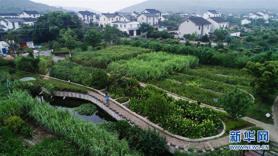 （在習(xí)近平新時(shí)代中國(guó)特色社會(huì)主義思想指引下&mdash;&mdash;新時(shí)代新作為新篇章&middot;圖文互動(dòng)）（1）稀奇！治污濕地成了休閑公園&mdash;&mdash;江蘇蘇州全域推進(jìn)農(nóng)村生活污水治理
