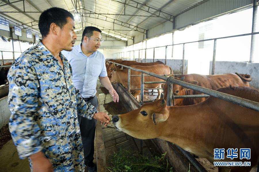 （脫貧攻堅(jiān)&middot;圖文互動）（2）&ldquo;不畏難、不畏煩、不畏苦&rdquo;&mdash;&mdash;記&ldquo;80后&rdquo;扶貧干部李朝陽