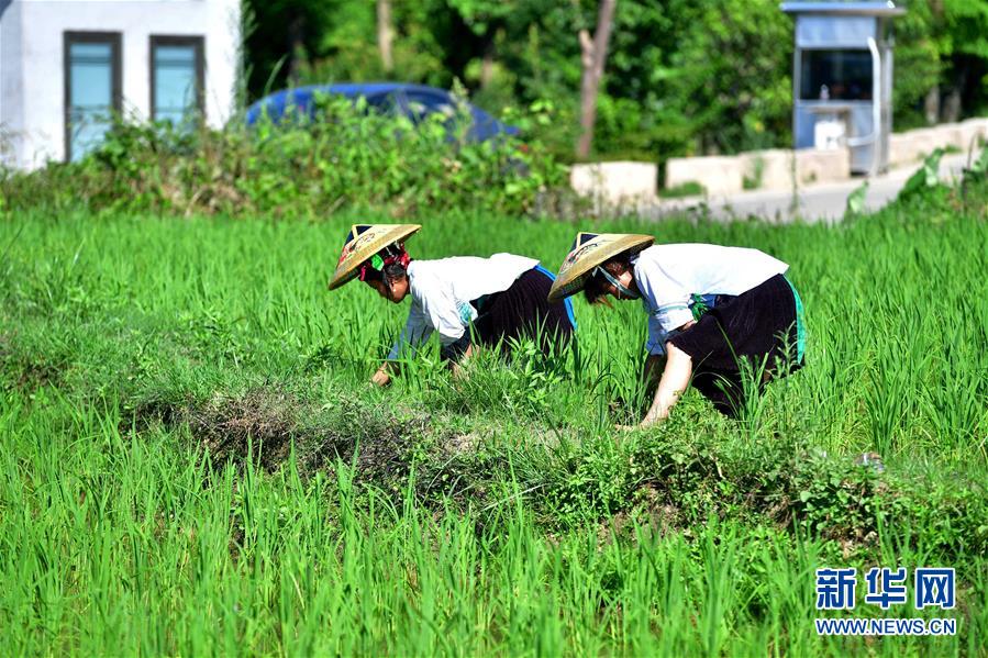 （社會(huì)）（2）苗山脫貧影像志&mdash;&mdash;把苗寨搬進(jìn)景區(qū) 讓貧困戶住進(jìn)城里