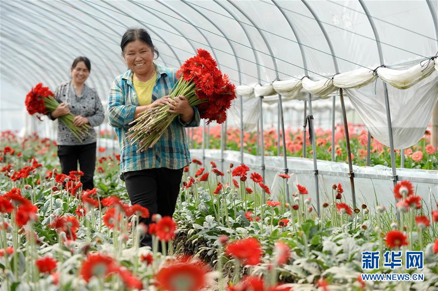 (大江奔流——來(lái)自長(zhǎng)江經(jīng)濟(jì)帶的報(bào)道·新華全媒頭條·圖文互動(dòng))(3)擘畫(huà)新時(shí)代中國(guó)發(fā)展新坐標(biāo)——深入推動(dòng)長(zhǎng)江經(jīng)濟(jì)帶發(fā)展述評(píng)