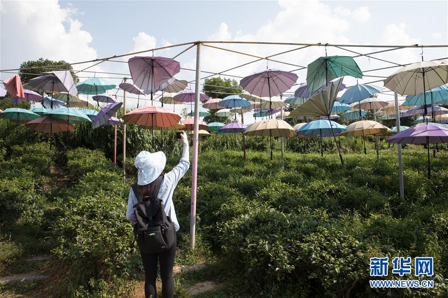 （大江奔流&mdash;&mdash;來自長江經(jīng)濟帶的報道&middot;圖文互動）（4）在這里，做一個幸福的農民