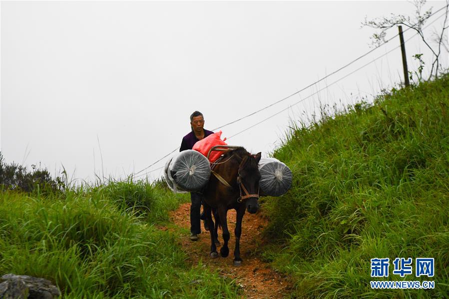 （新華全媒頭條&middot;圖文互動）（4）一個人，一座山&mdash;&mdash;劉真茂的生命守望