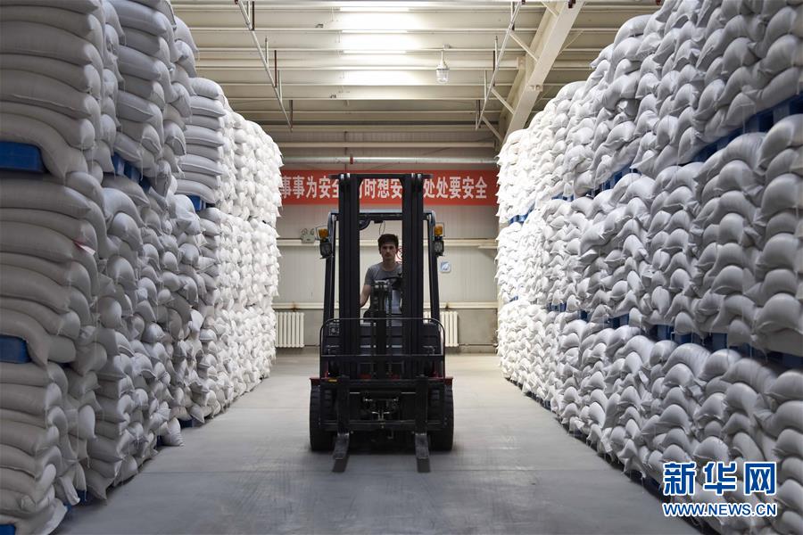 （新華全媒頭條&middot;圖文互動(dòng)）（6）去新疆！穿越古今絲綢之路