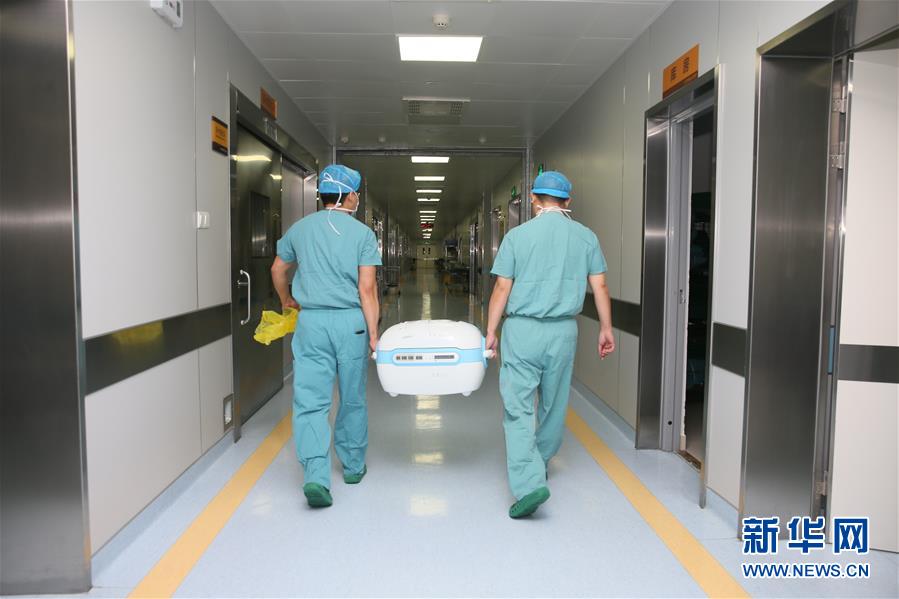 (新華全媒頭條·圖文互動(dòng))(6)生命的禮贊——跨越五千公里的生命接力