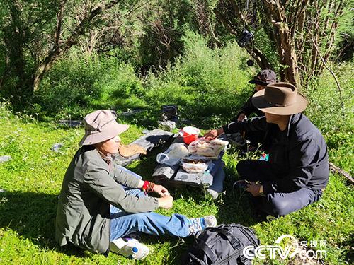 長途跋涉途中休息。