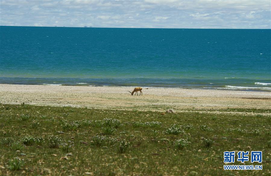 （新華全媒頭條&middot;圖文互動(dòng)）（6）正在破譯的&ldquo;青藏密碼&rdquo;&mdash;&mdash;第二次青藏高原綜合科考首期成果發(fā)布