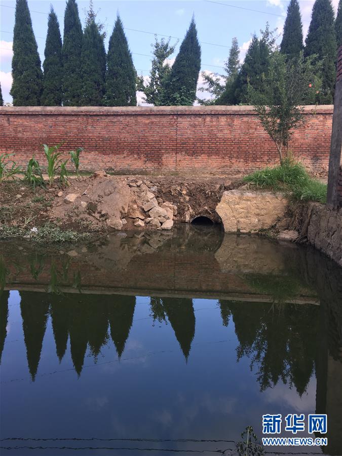 （新華視點(diǎn)&middot;圖文互動(dòng)）（3）上游洪水來(lái)襲下游魚(yú)蟹死亡，泄洪為何變泄污？