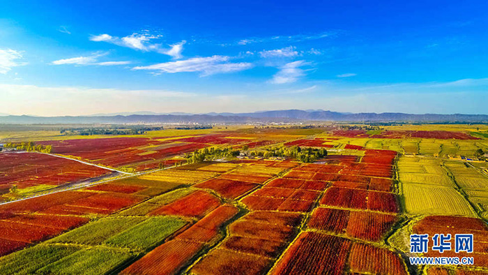 秋收的中國，你想象不到的美！但更美的是&hellip;&hellip;