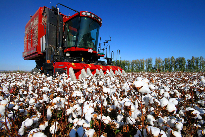 秋收的中國，你想象不到的美！但更美的是&hellip;&hellip;