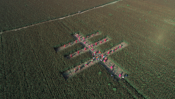 秋收的中國，你想象不到的美！但更美的是&hellip;&hellip;