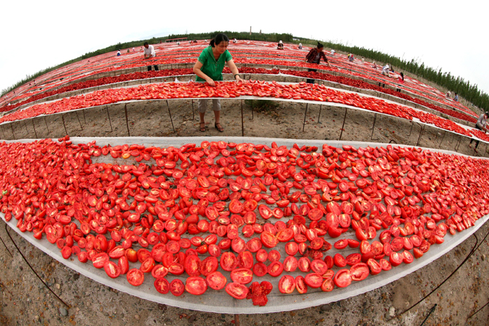 秋收的中國，你想象不到的美！但更美的是&hellip;&hellip;