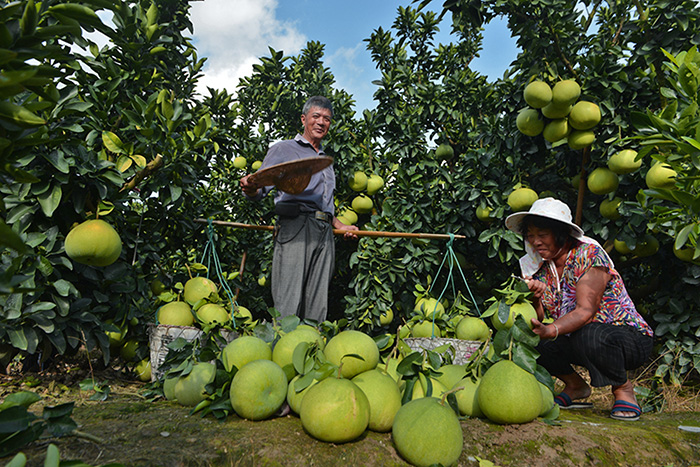 秋收的中國，你想象不到的美！但更美的是&hellip;&hellip;