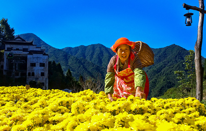 秋收的中國，你想象不到的美！但更美的是&hellip;&hellip;