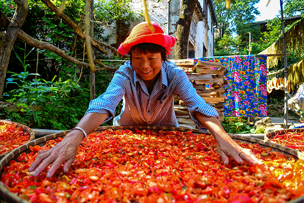 秋收的中國，你想象不到的美！但更美的是&hellip;&hellip;