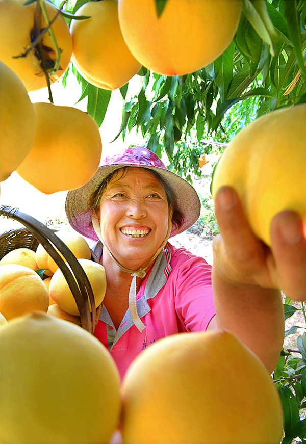 秋收的中國，你想象不到的美！但更美的是&hellip;&hellip;