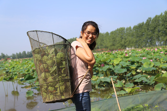 秋收的中國，你想象不到的美！但更美的是&hellip;&hellip;