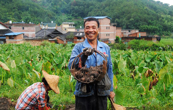 秋收的中國，你想象不到的美！但更美的是&hellip;&hellip;