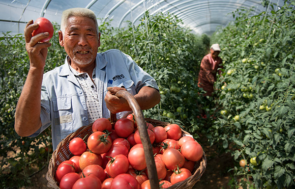 秋收的中國，你想象不到的美！但更美的是&hellip;&hellip;