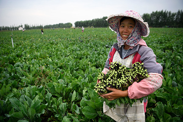 秋收的中國，你想象不到的美！但更美的是&hellip;&hellip;