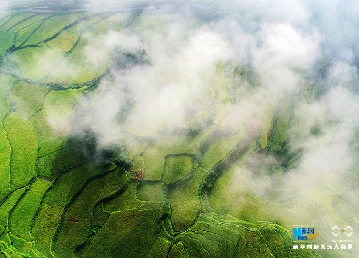 秋收的中國，你想象不到的美！但更美的是&hellip;&hellip;