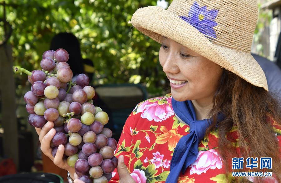 （新華全媒頭條&middot;圖文互動(dòng)）（8）最年輕的節(jié)日 最悠久的牽念&mdash;&mdash;寫給首個(gè)中國農(nóng)民豐收節(jié)
