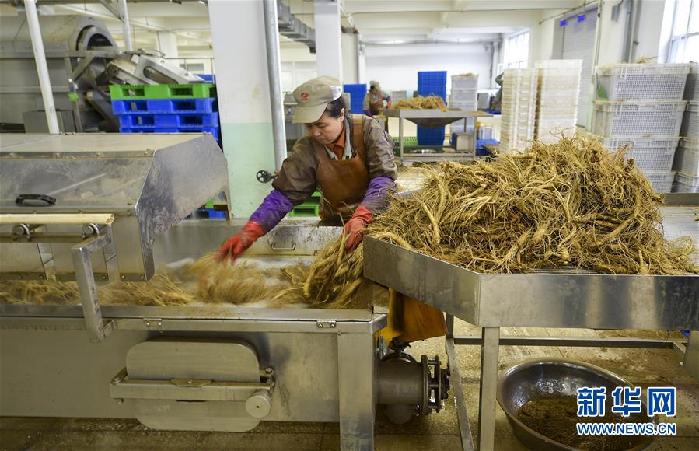 （百城百縣百企調(diào)研行&middot;圖文互動）（5）吉林集安：邊陲&ldquo;綠色明珠&rdquo;為何如此閃亮？