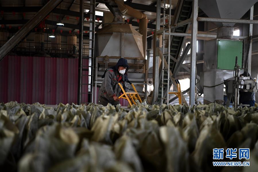 （在習近平新時代中國特色社會主義思想指引下&mdash;&mdash;新時代新氣象新作為&middot;鄉(xiāng)村振興戰(zhàn)略&middot;圖文互動）（1）&ldquo;與其放火，不如打包&rdquo;&mdash;&mdash;山西渾源秸稈綜合再利用見聞