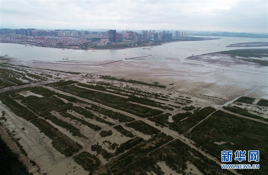 （新華視點&middot;圖文互動）（1）福建10名黨員干部被問責(zé)的背后：7部門十余次執(zhí)法未能有效制止泉州灣濕地圍墾行為