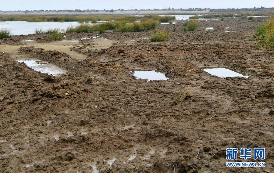 （新華視點&middot;圖文互動）（2）福建10名黨員干部被問責(zé)的背后：7部門十余次執(zhí)法未能有效制止泉州灣濕地圍墾行為