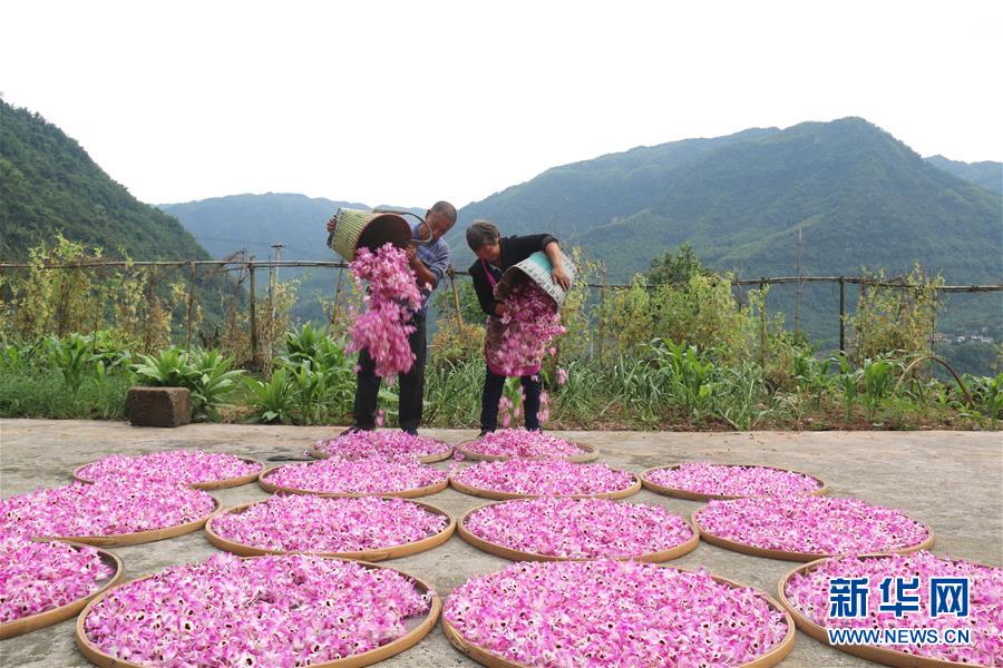（在習(xí)近平新時(shí)代中國(guó)特色社會(huì)主義思想指引下&middot;慶祝改革開放40周年&middot;綠色發(fā)展&middot;圖文互動(dòng)）（3）吹盡狂沙始到金&mdash;&mdash;綠色發(fā)展之&ldquo;金&rdquo;的故事 