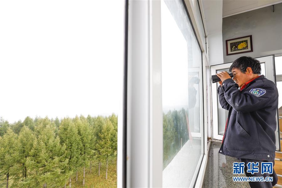 （新華全媒頭條&middot;圖文互動）（3）那一抹綠色，走進(jìn)越來越多人心里&mdash;&mdash;河北塞罕壩續(xù)寫新時代綠色傳奇