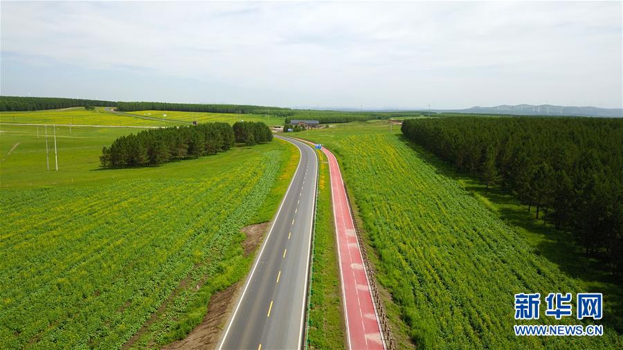 （新華全媒頭條&middot;圖文互動）（4）那一抹綠色，走進(jìn)越來越多人心里&mdash;&mdash;河北塞罕壩續(xù)寫新時代綠色傳奇