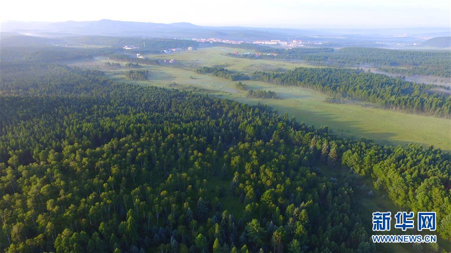 （新華全媒頭條&middot;圖文互動）（5）那一抹綠色，走進(jìn)越來越多人心里&mdash;&mdash;河北塞罕壩續(xù)寫新時代綠色傳奇