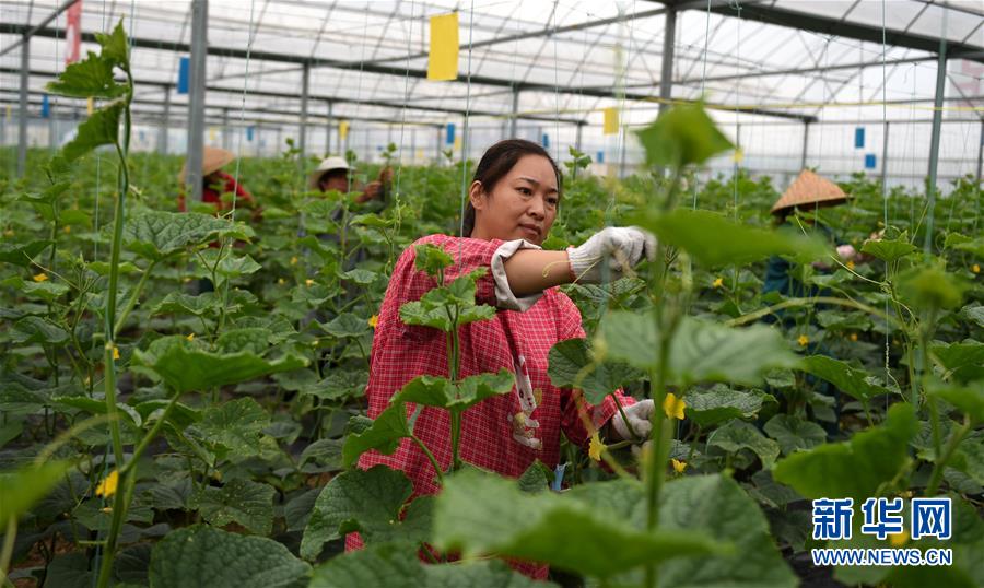 （新華全媒頭條&middot;圖文互動）（11）心中有夢想，腳下就有力量&mdash;&mdash;寫在&ldquo;中國夢&rdquo;提出六周年之際