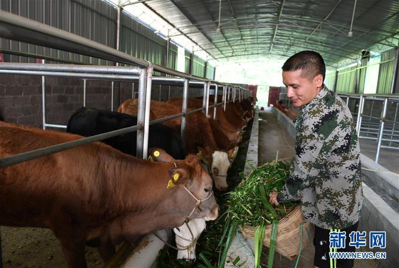 （輝煌60年&middot;壯美新廣西&middot;圖文互動）（7）奮力書寫壯鄉(xiāng)反貧困歷史新篇章&mdash;&mdash;廣西干部群眾接續(xù)奮斗脫貧攻堅觀察