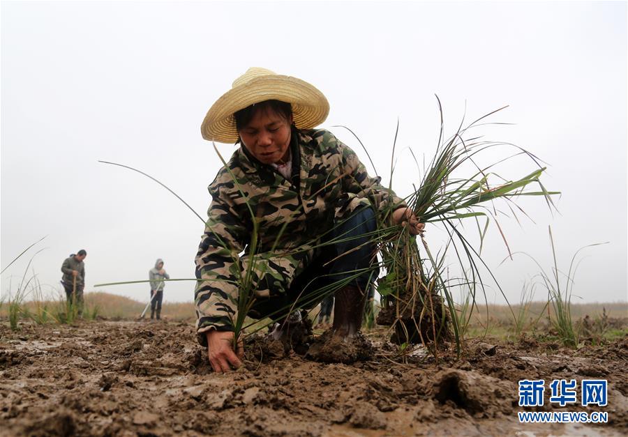 （新華視點(diǎn)&middot;回望2018&middot;圖文互動(dòng)）（3）2018年新華社曝光多起破壞生態(tài)事件，記者年底追訪發(fā)現(xiàn)&hellip;&hellip;