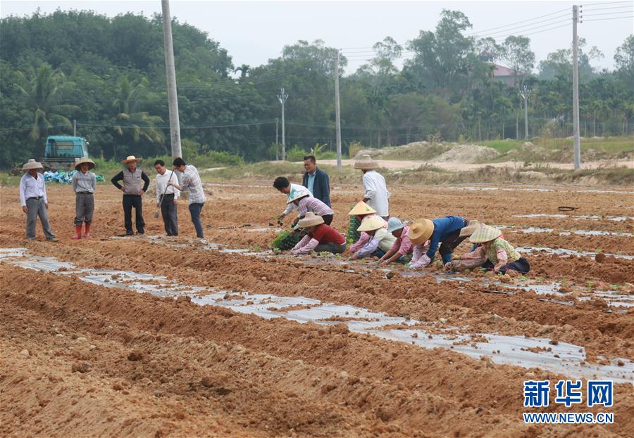 （新華視點(diǎn)&middot;回望2018&middot;圖文互動(dòng)）（7）2018年新華社曝光多起破壞生態(tài)事件，記者年底追訪發(fā)現(xiàn)&hellip;&hellip;