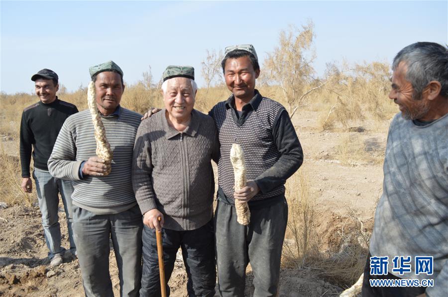 （圖文互動(dòng)）（3）&ldquo;劉紅柳&rdquo;，一輩子大漠扎根種樹(shù)