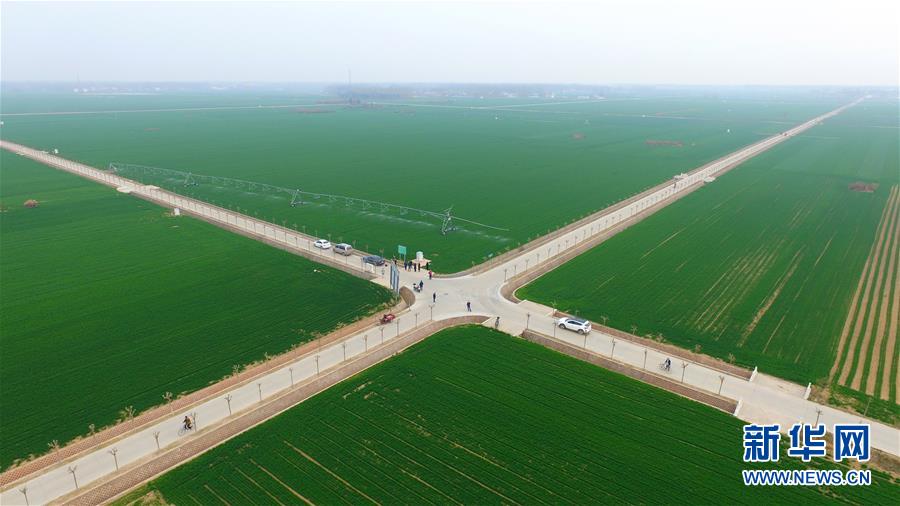 （來自一線的調(diào)查報告&middot;圖文互動）（1）從&ldquo;填飽肚子&rdquo;到&ldquo;過好日子&rdquo;&mdash;&mdash;改革開放40年河南農(nóng)業(yè)三重&ldquo;蝶變記&rdquo;