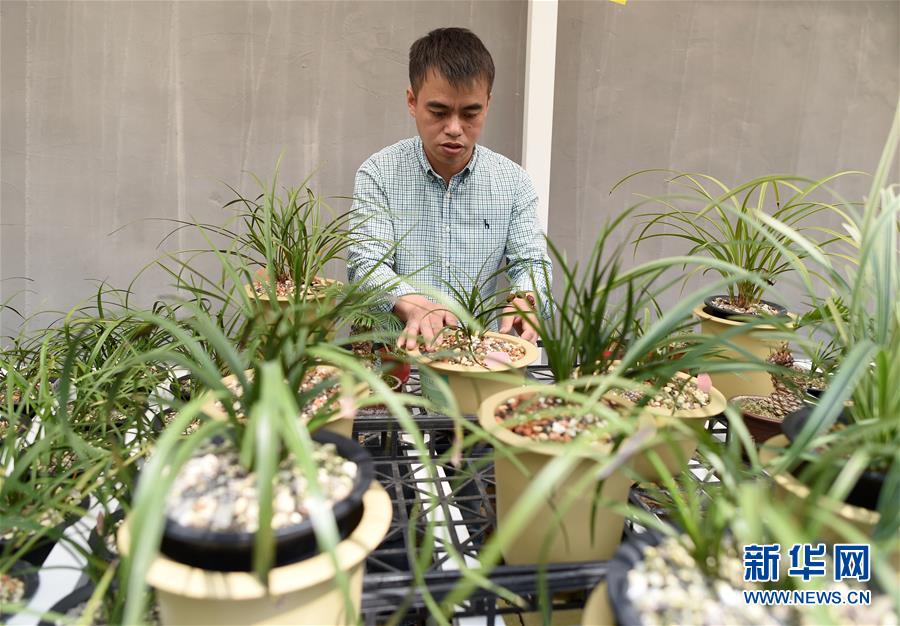 (圖文互動)(6)建設(shè)好生態(tài)宜居的美麗鄉(xiāng)村——從“千萬工程”看習(xí)近平生態(tài)文明思想的生動實踐和世界回響