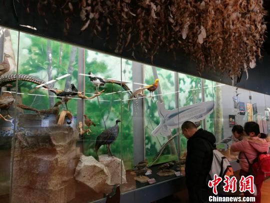 圖為展覽現(xiàn)場(chǎng)。　胡遠(yuǎn)航 攝