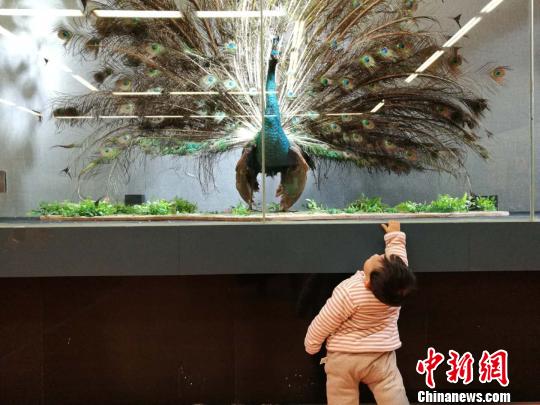 圖為展覽現(xiàn)場(chǎng)。　胡遠(yuǎn)航 攝