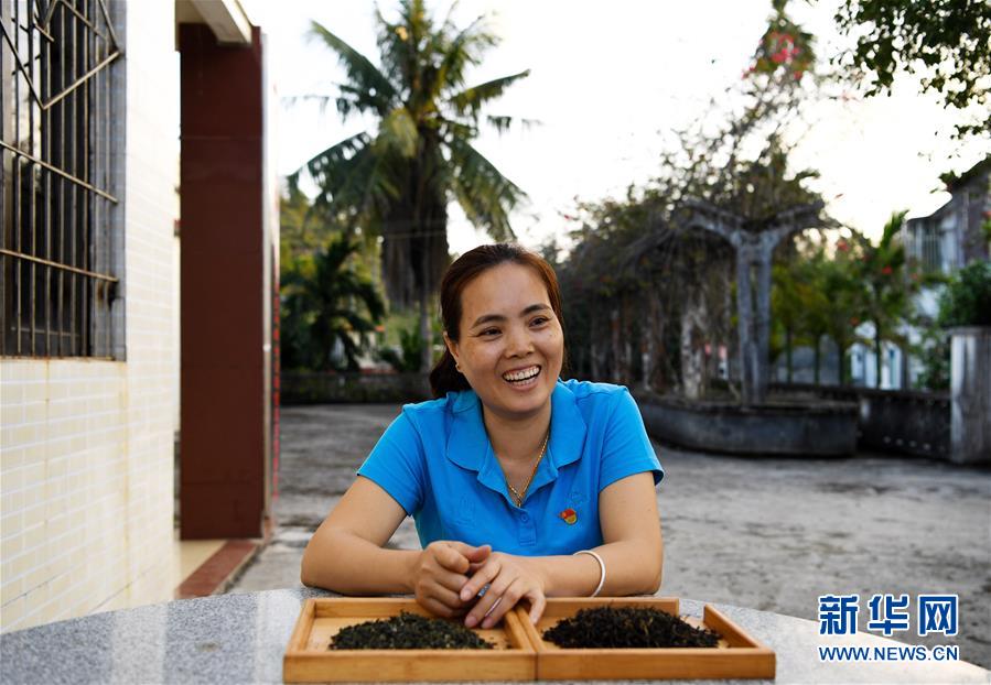 （奮進新時代&middot;迎接兩會）（3）開放發(fā)展&mdash;&mdash;推動形成全面開放新格局