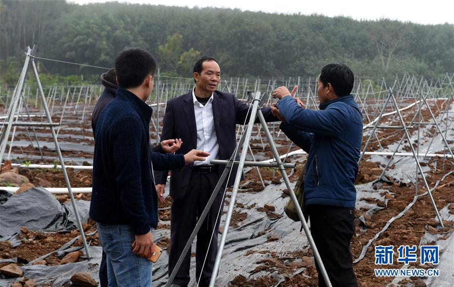 （兩會&middot;基層委員履職故事）（7）全國政協委員羊風極：讓家鄉(xiāng)在鄉(xiāng)村振興中發(fā)展得更好