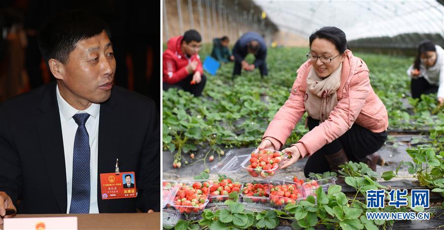 （兩會&middot;影像鏈接）全國人大代表唐廷波：加強落實強農(nóng)惠農(nóng)政策 增加農(nóng)民收入