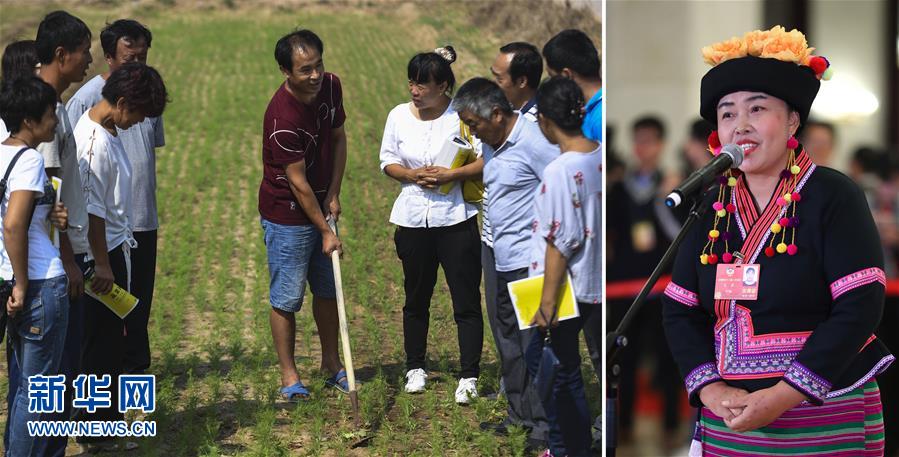 （兩會&middot;影像鏈接）全國政協委員張敏：培養(yǎng)新型農民 助力脫貧攻堅